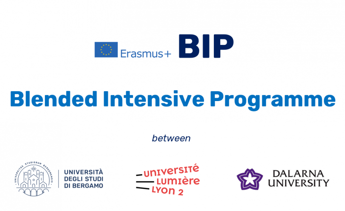 bip_img